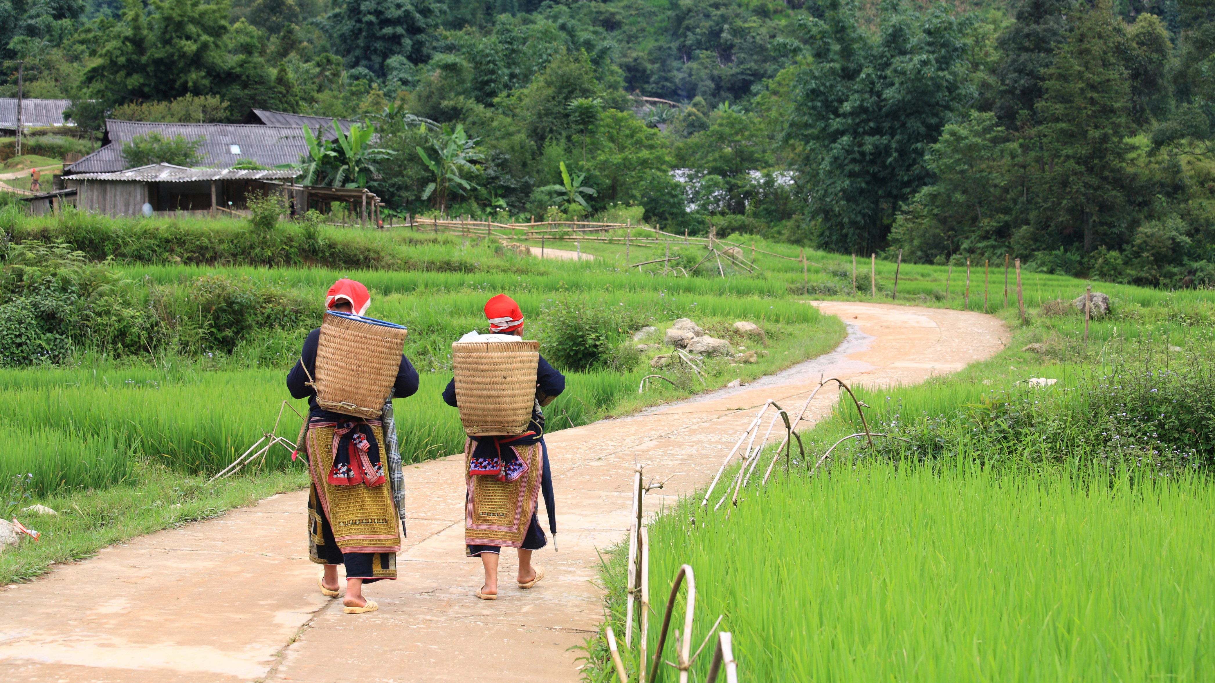 Trekking Sapa in Vietnam