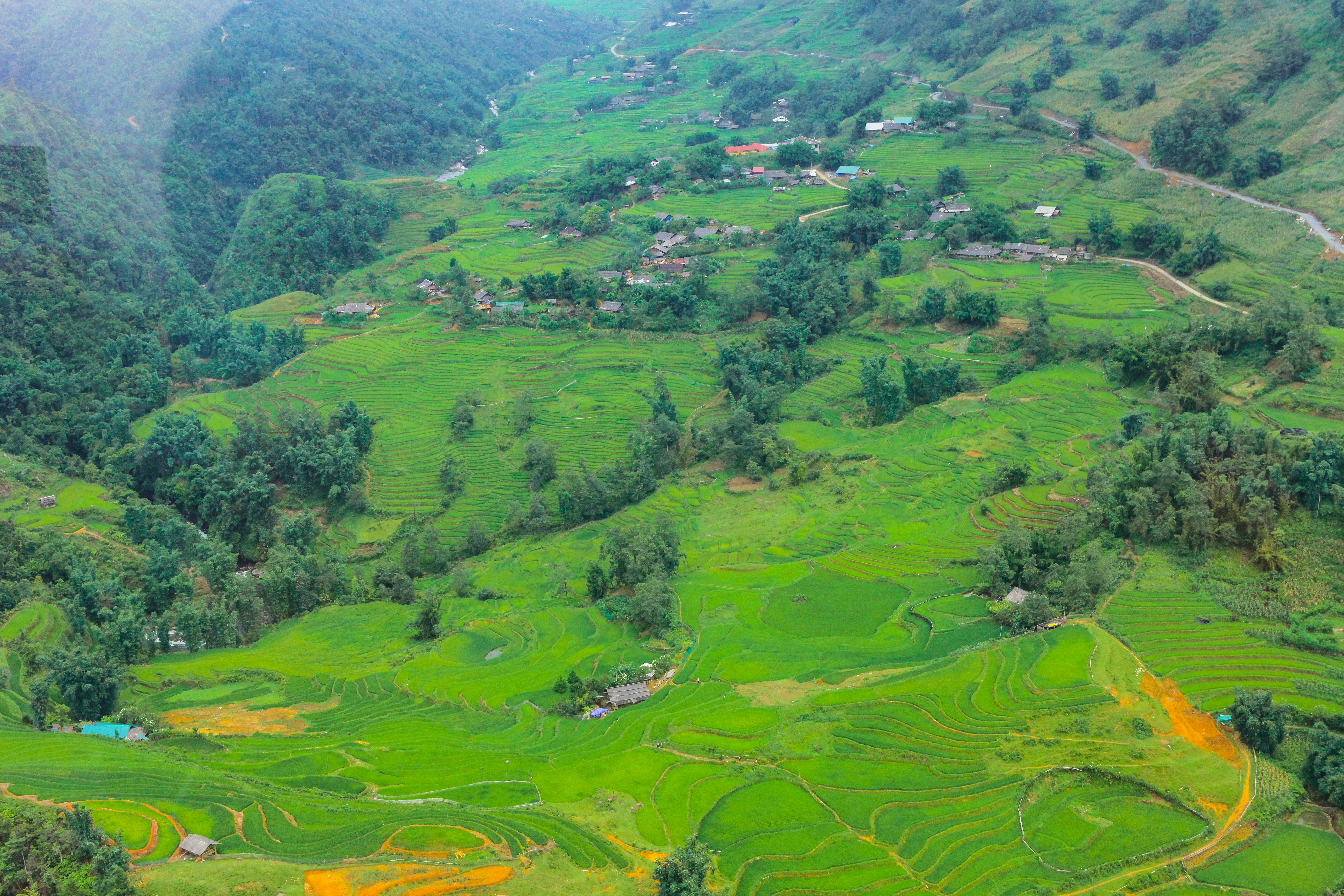 Sapa trekking