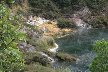 Rotorua geothermal areas